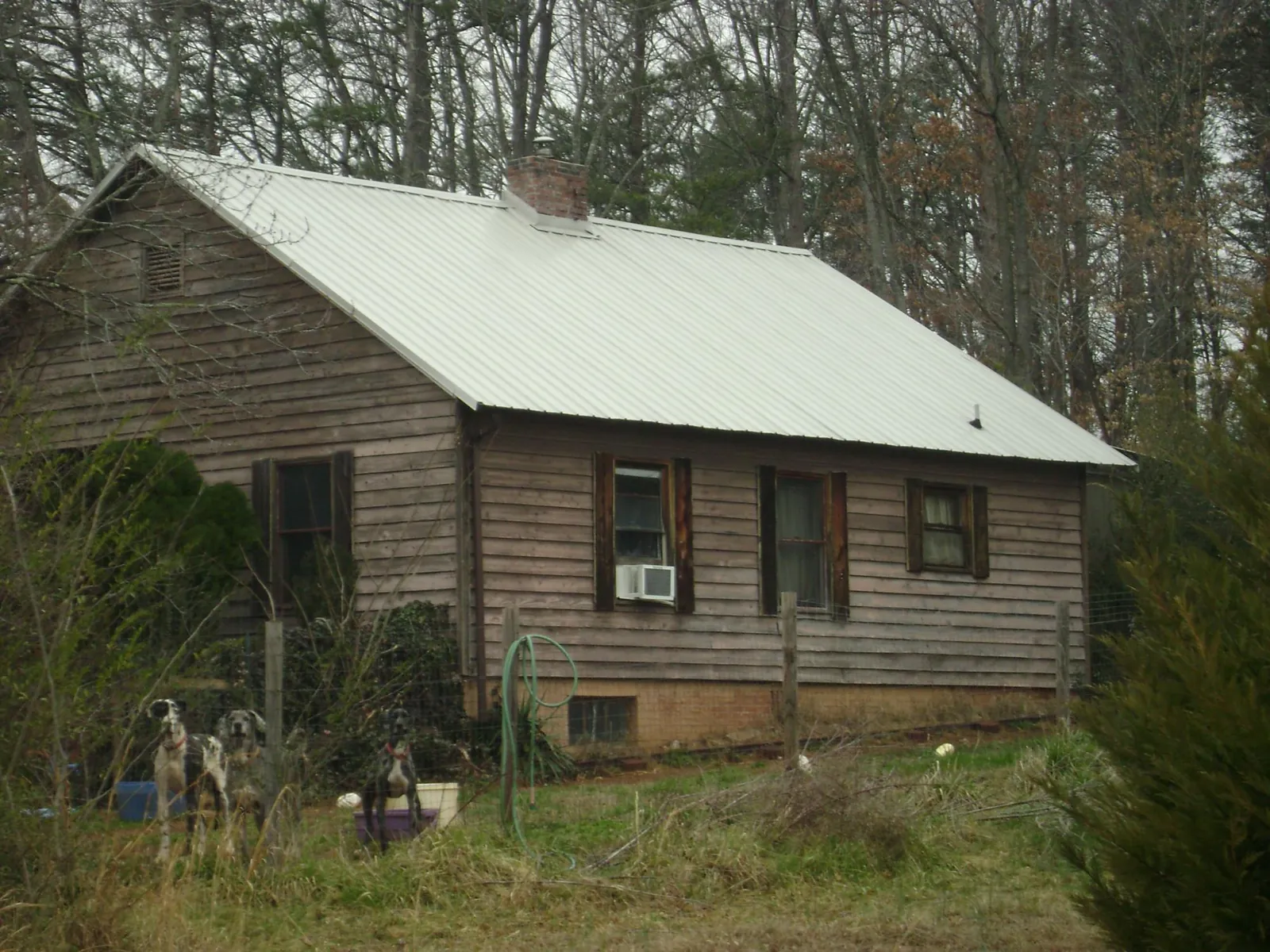 White metal roof on an old wood sided farmhouse, from a Asphalt Shingle Roof Repair job in Defiance